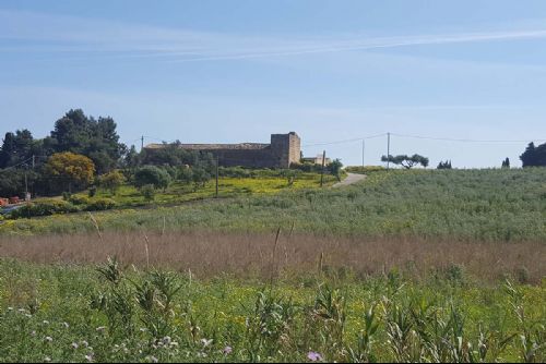 Baglio Contrada Aversa - 20190419_102014_P.jpg